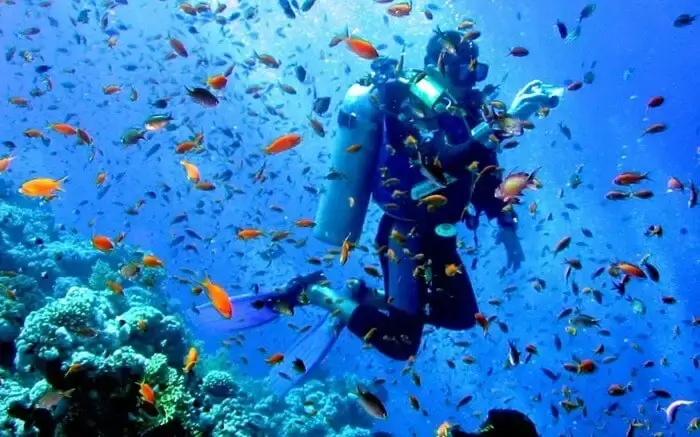 Andaman Tour Packages